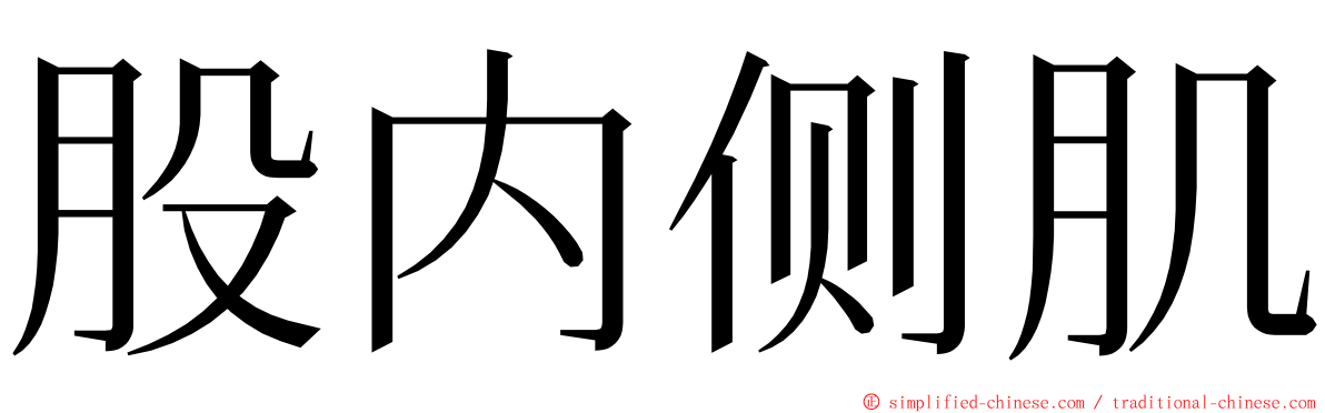 股内侧肌 ming font