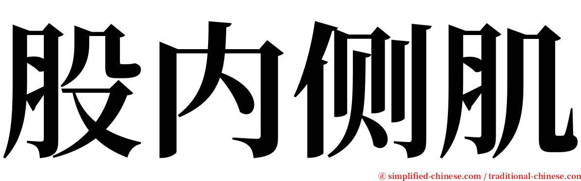 股内侧肌 serif font