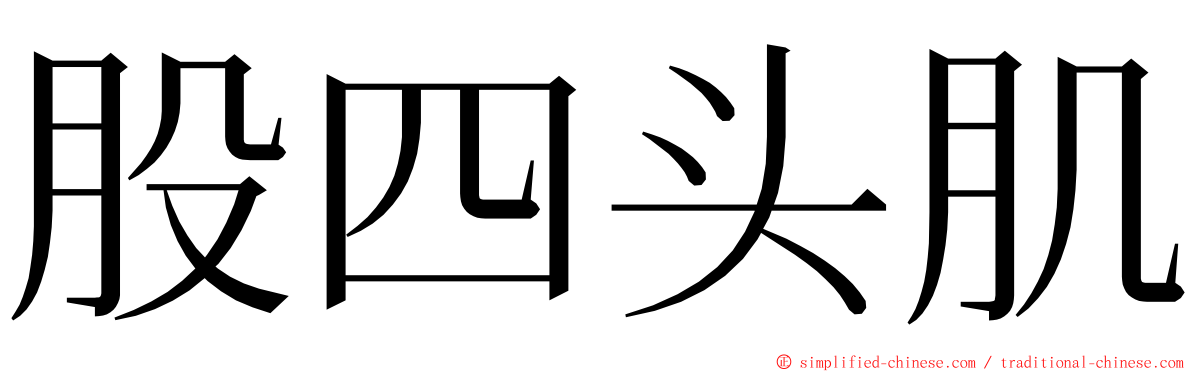 股四头肌 ming font