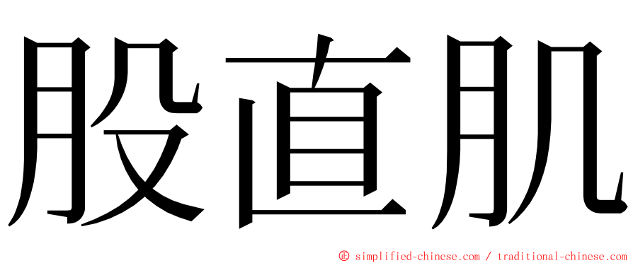 股直肌 ming font