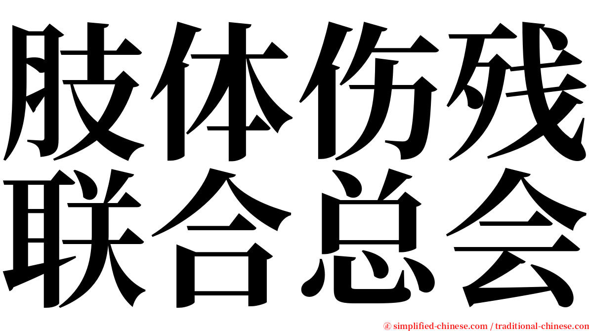 肢体伤残联合总会 serif font