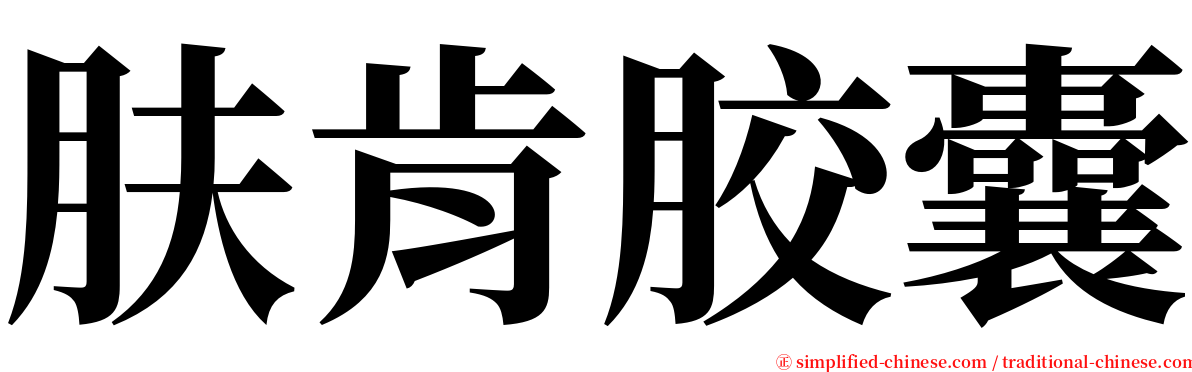 肤肯胶囊 serif font