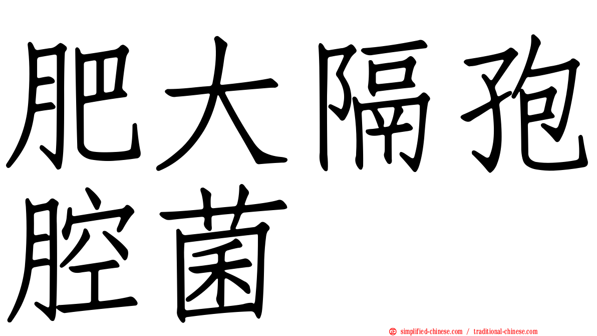 肥大隔孢腔菌