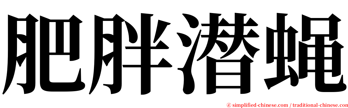 肥胖潜蝇 serif font