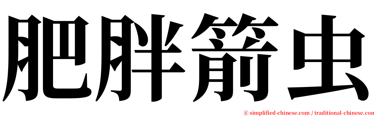 肥胖箭虫 serif font