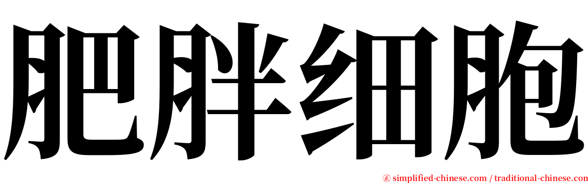 肥胖细胞 serif font