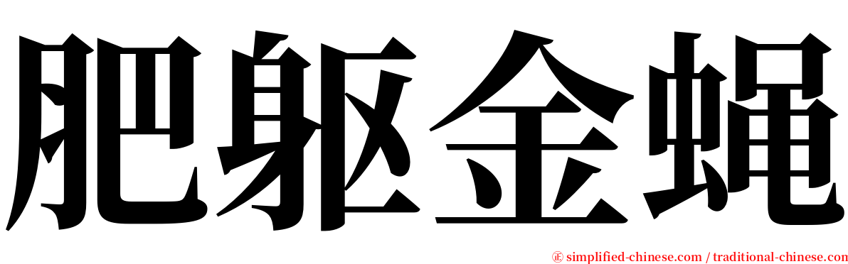 肥躯金蝇 serif font