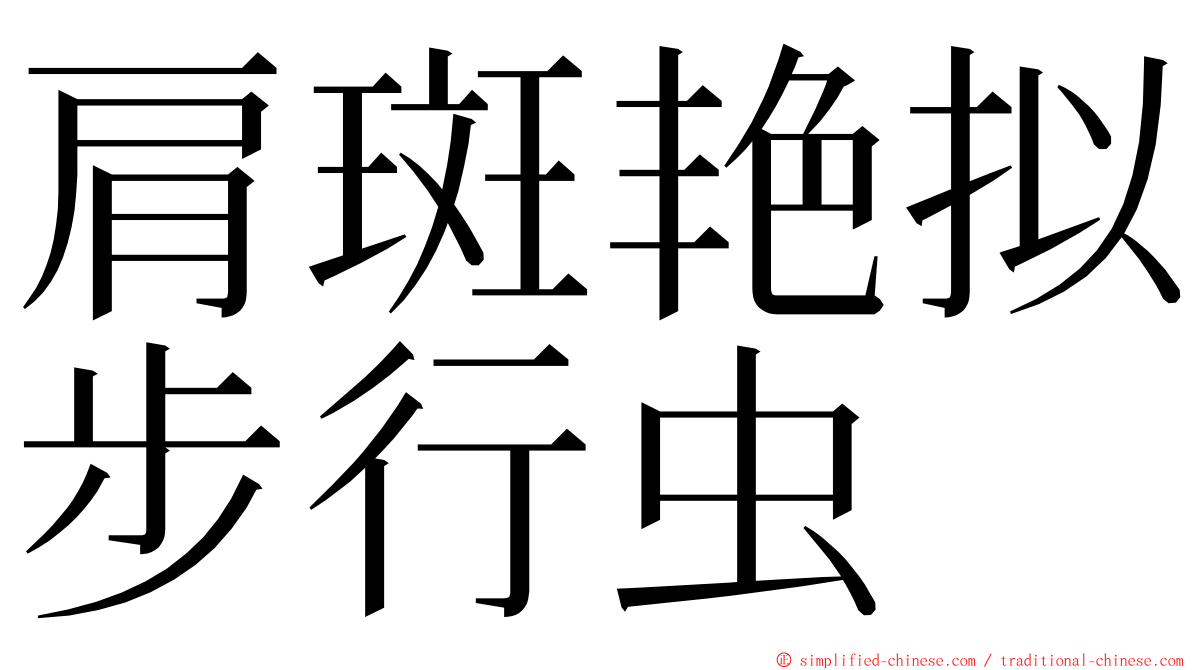 肩斑艳拟步行虫 ming font