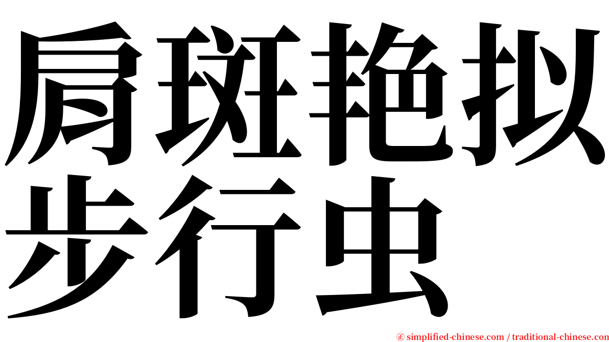 肩斑艳拟步行虫 serif font