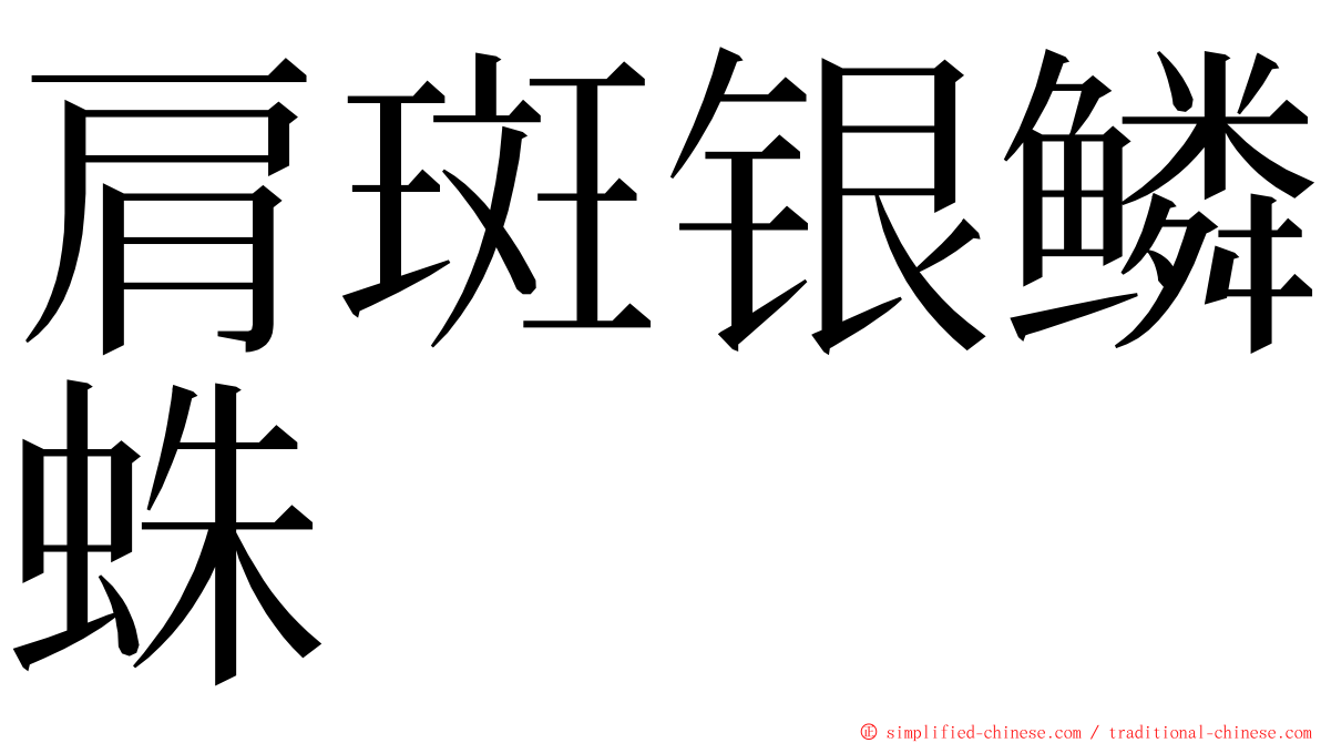 肩斑银鳞蛛 ming font