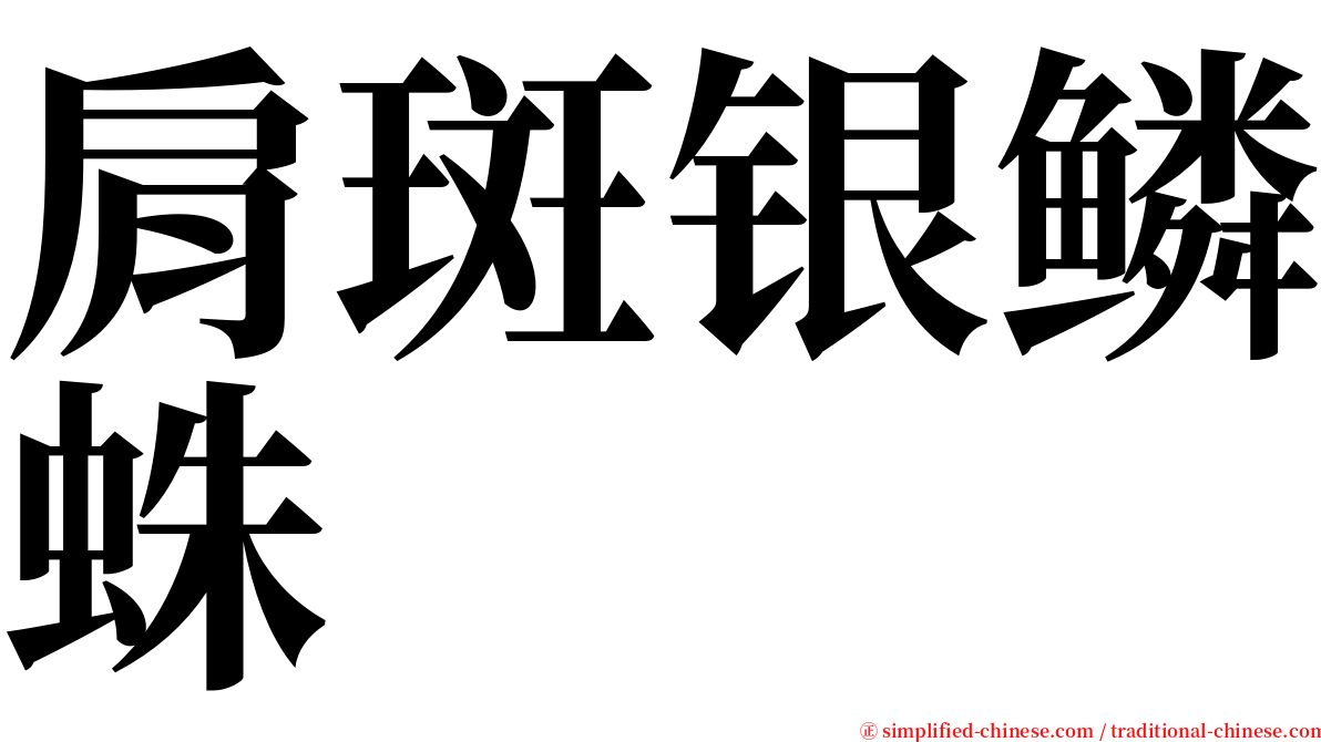 肩斑银鳞蛛 serif font