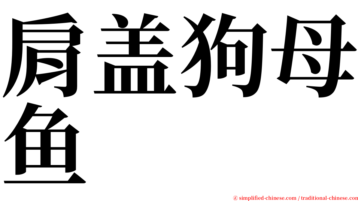 肩盖狗母鱼 serif font