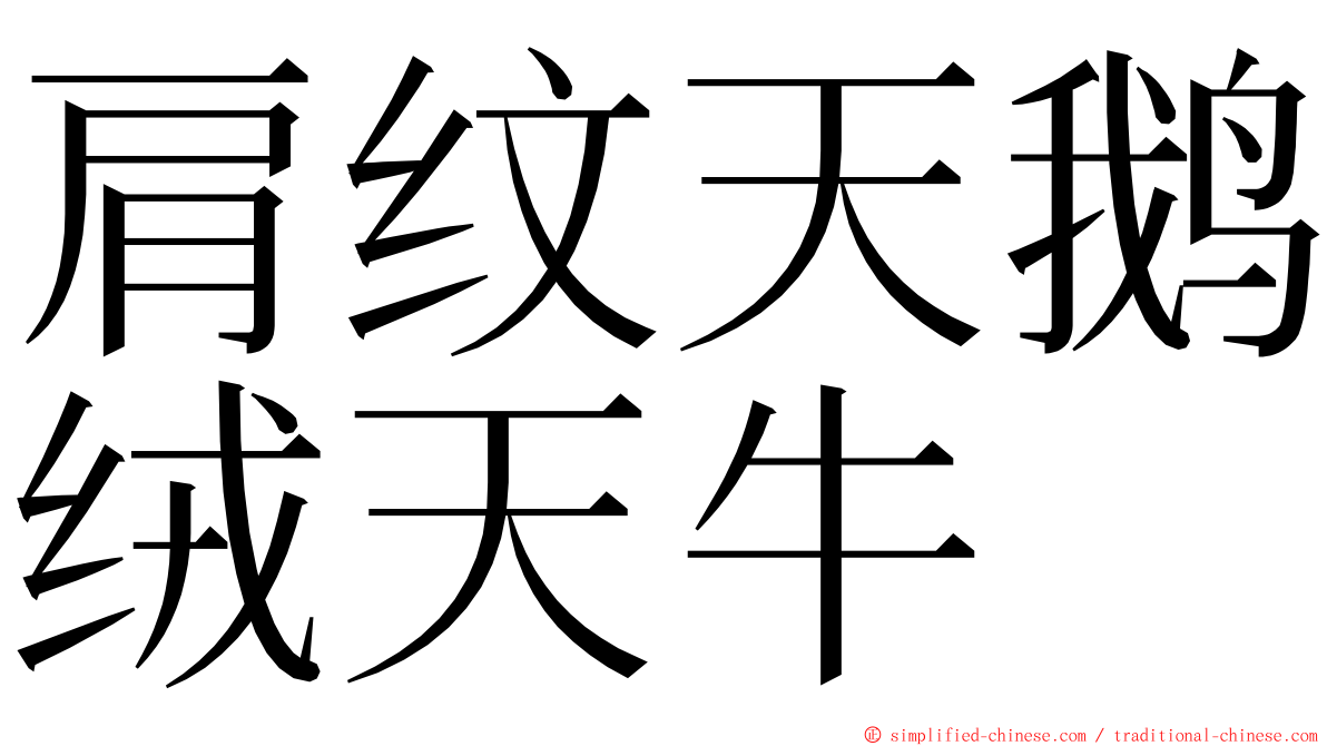 肩纹天鹅绒天牛 ming font