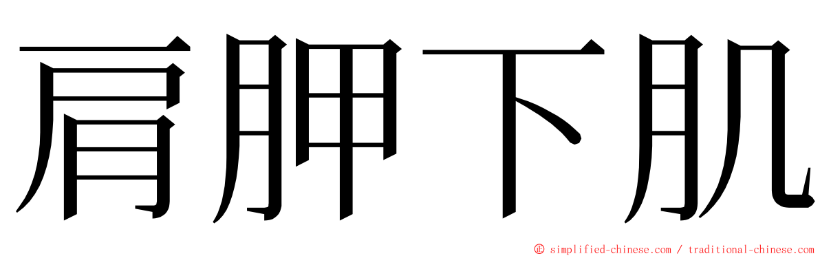 肩胛下肌 ming font