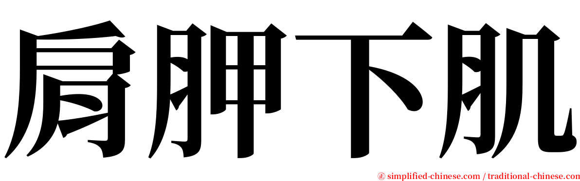 肩胛下肌 serif font