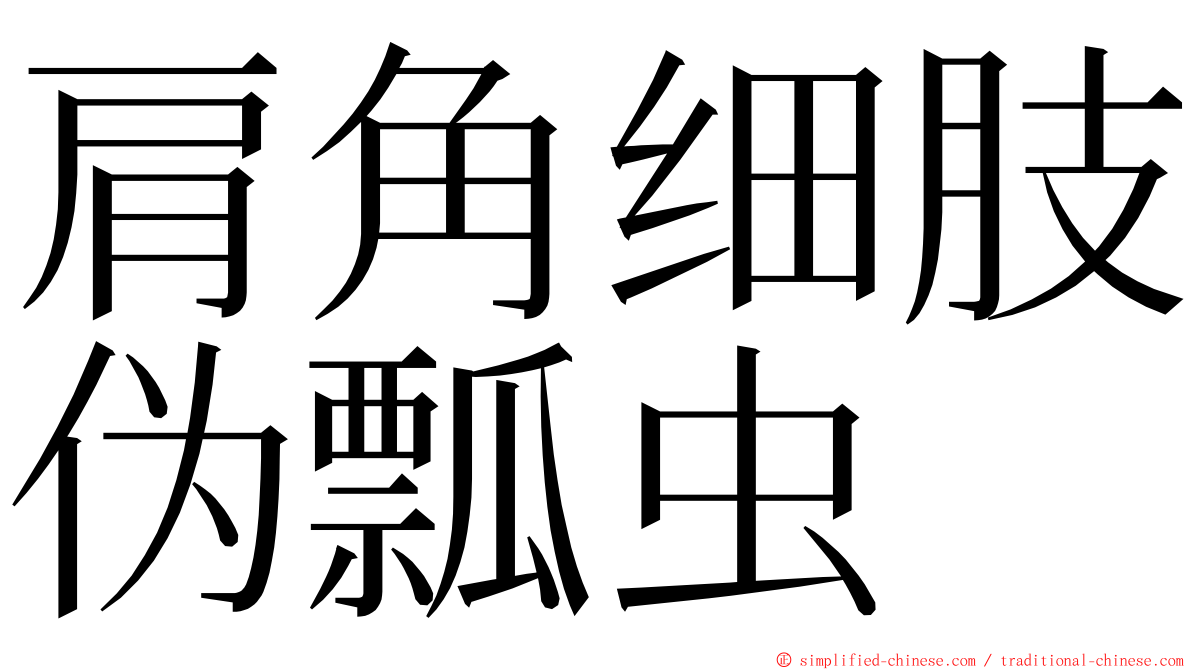 肩角细肢伪瓢虫 ming font