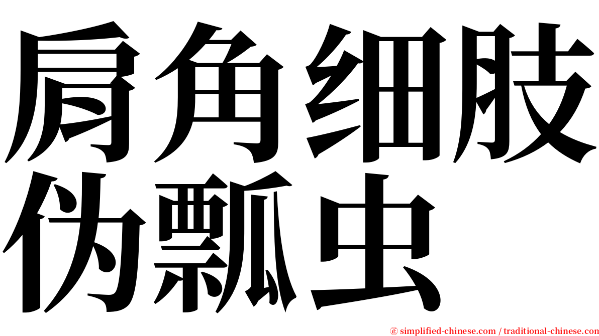 肩角细肢伪瓢虫 serif font