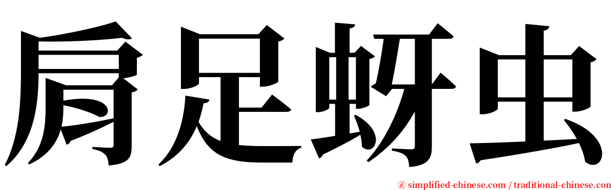 肩足蚜虫 serif font