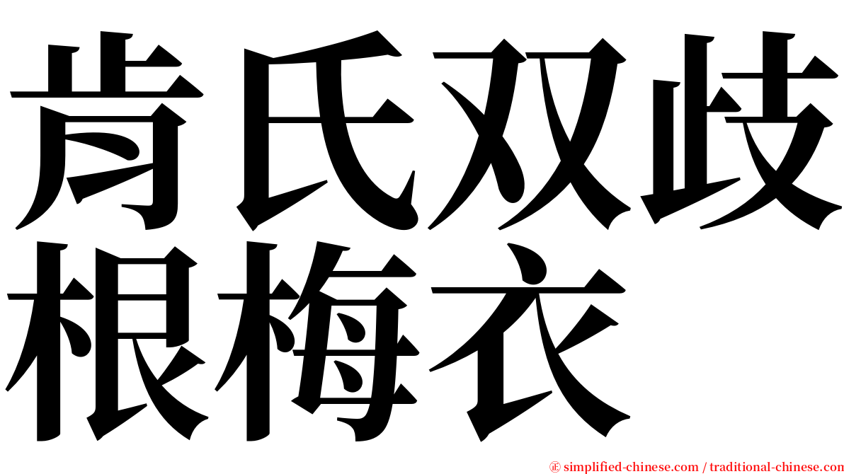 肯氏双歧根梅衣 serif font