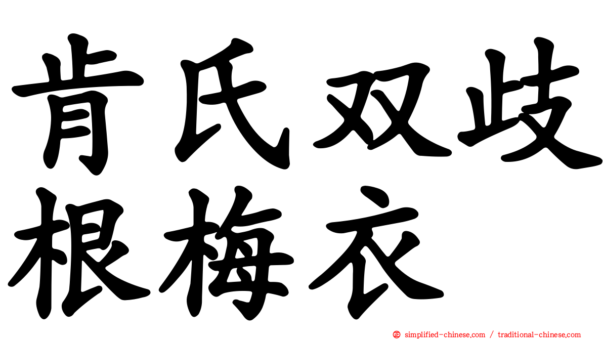 肯氏双歧根梅衣