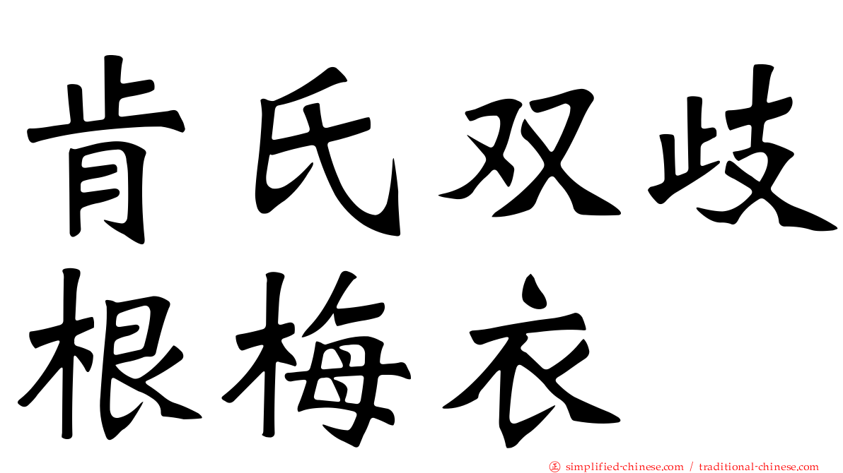 肯氏双歧根梅衣