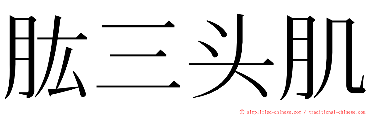 肱三头肌 ming font