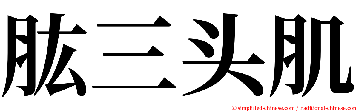 肱三头肌 serif font