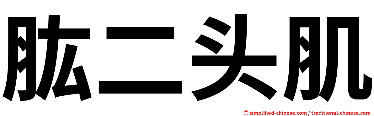 肱二头肌