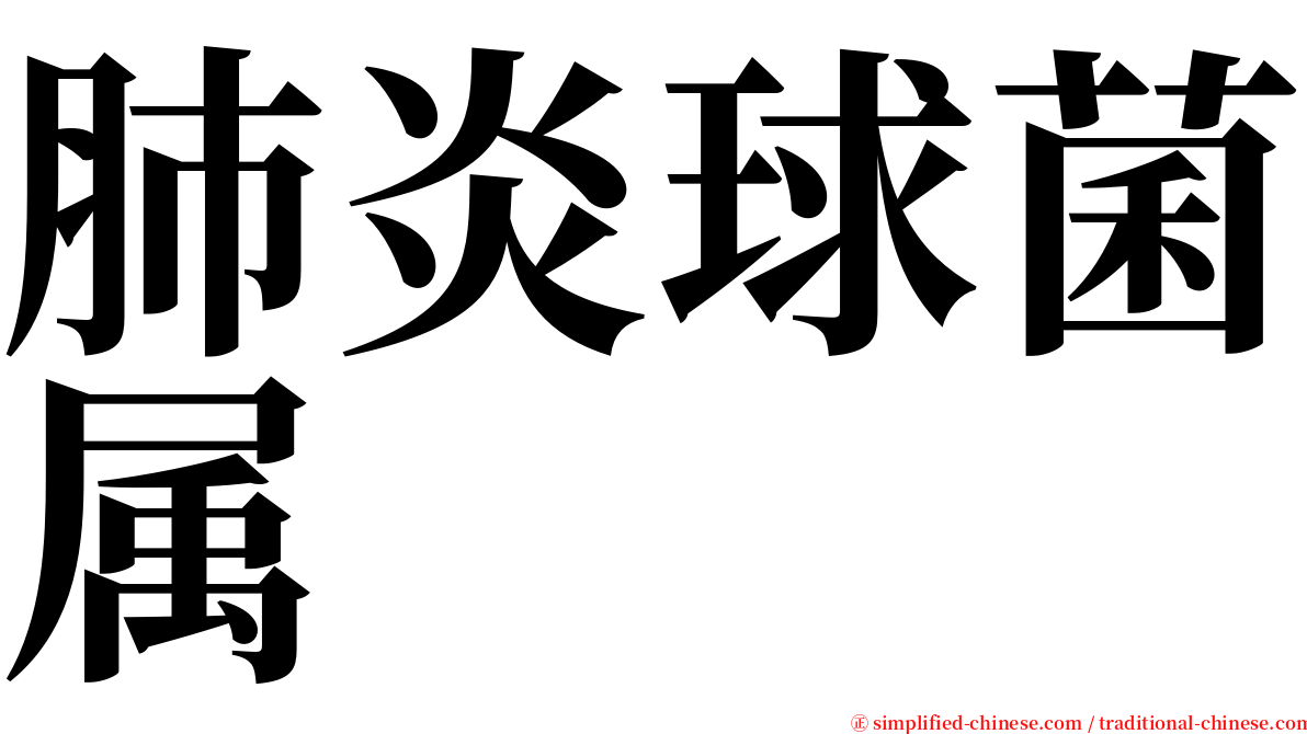 肺炎球菌属 serif font