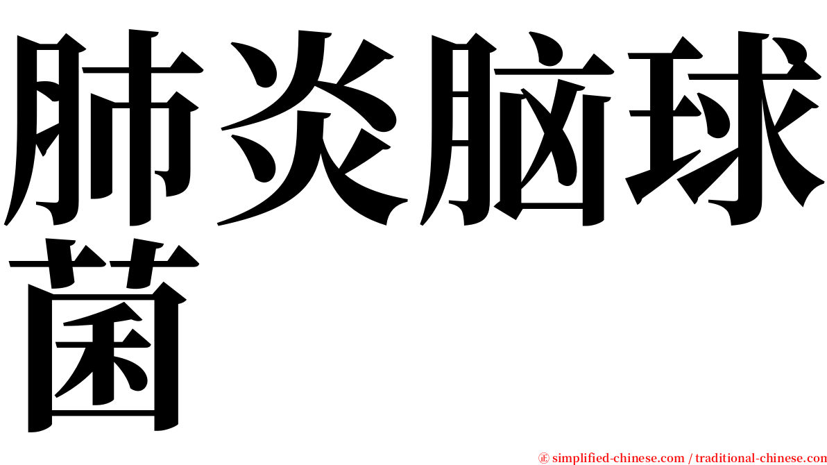 肺炎脑球菌 serif font