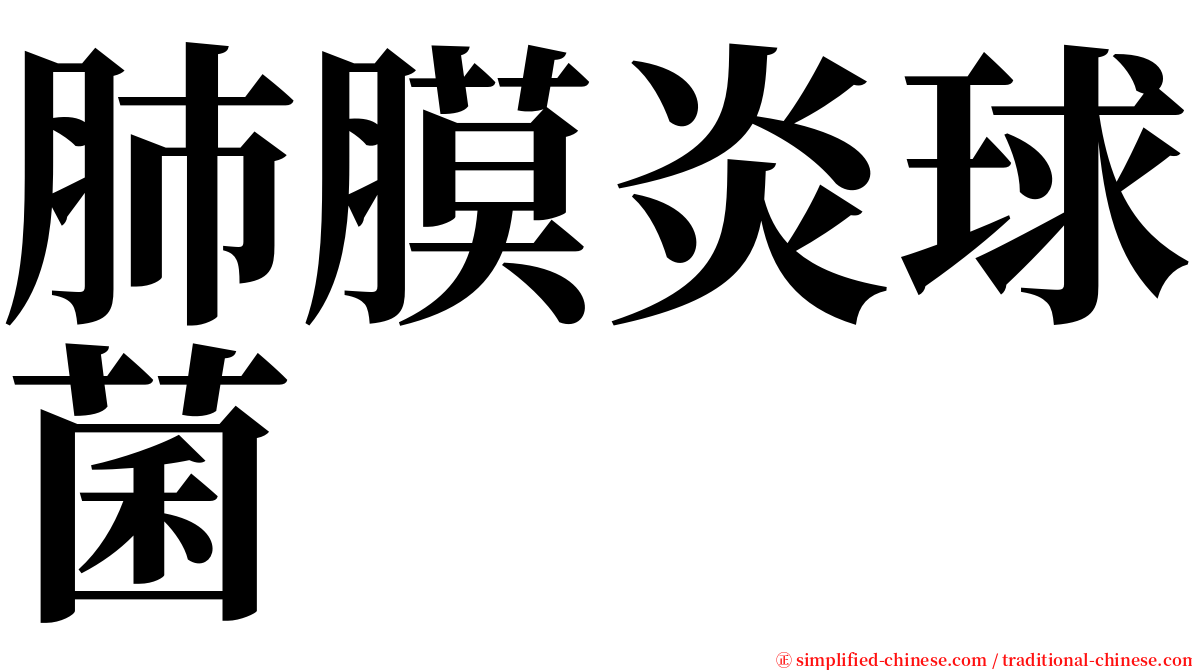 肺膜炎球菌 serif font