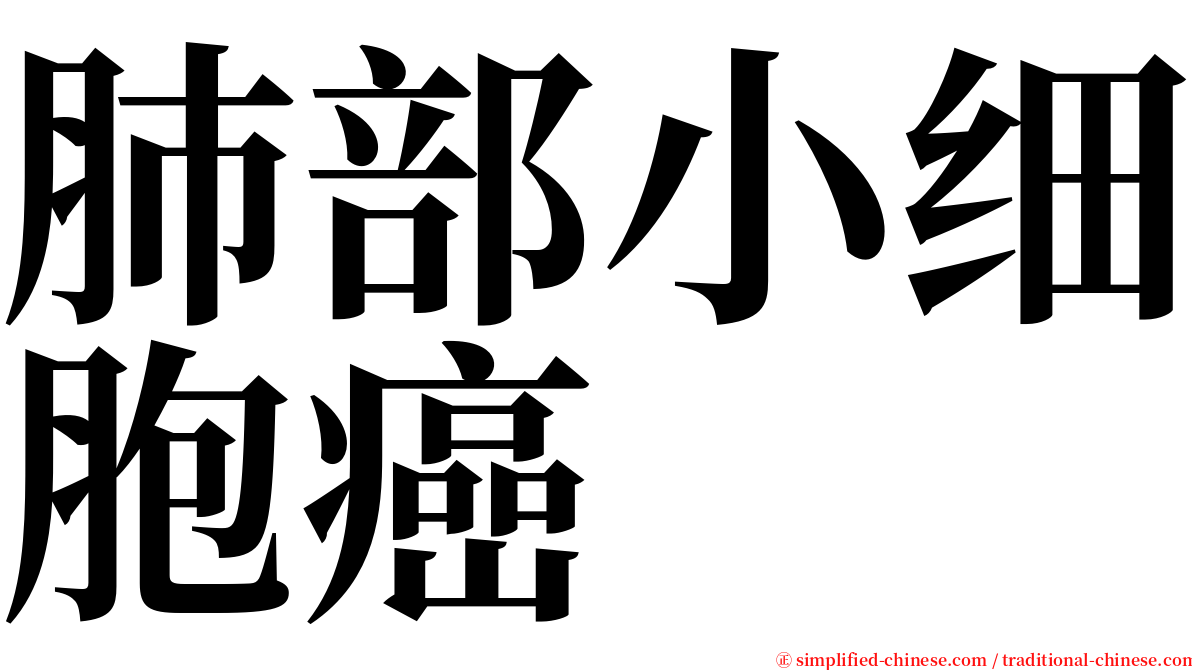 肺部小细胞癌 serif font