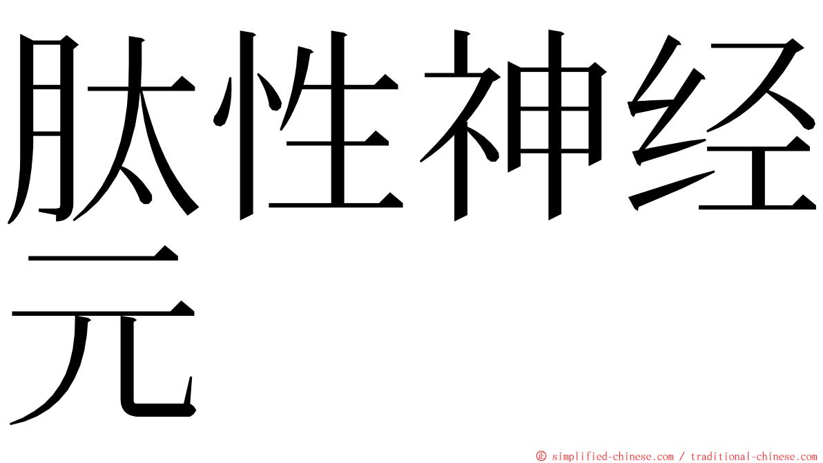 肽性神经元 ming font