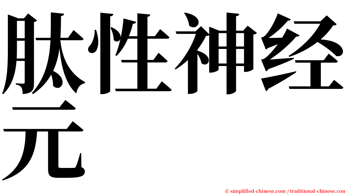 肽性神经元 serif font