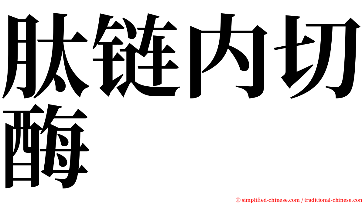 肽链内切酶 serif font