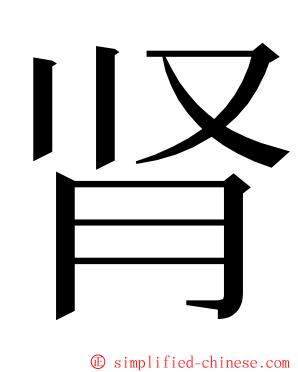 肾 ming font