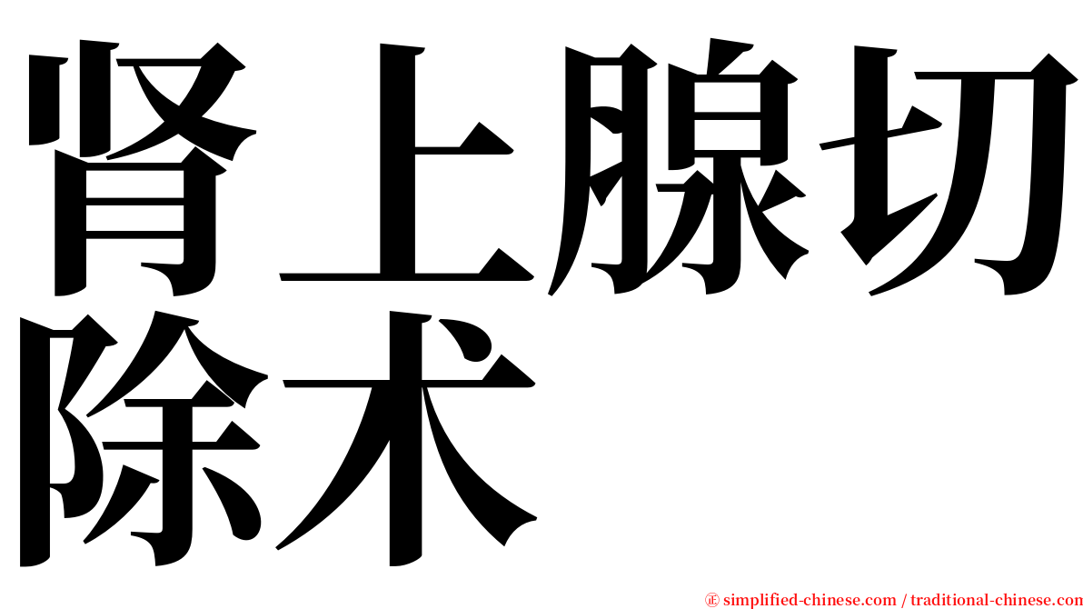 肾上腺切除术 serif font