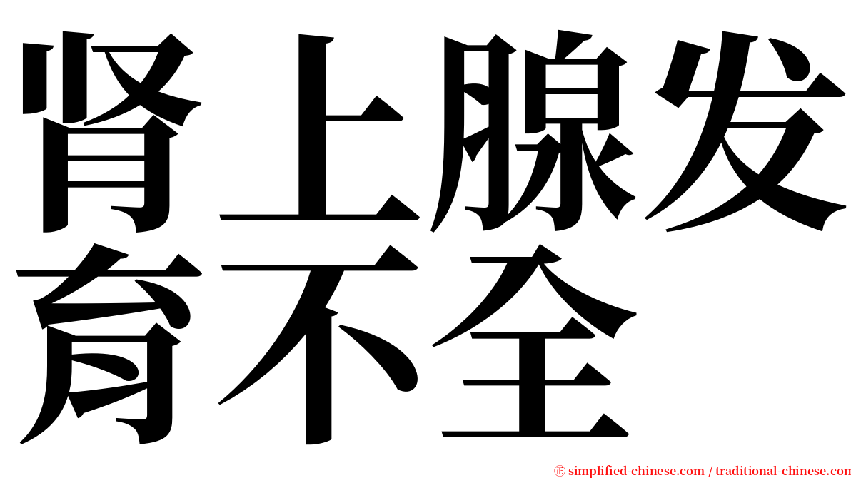 肾上腺发育不全 serif font