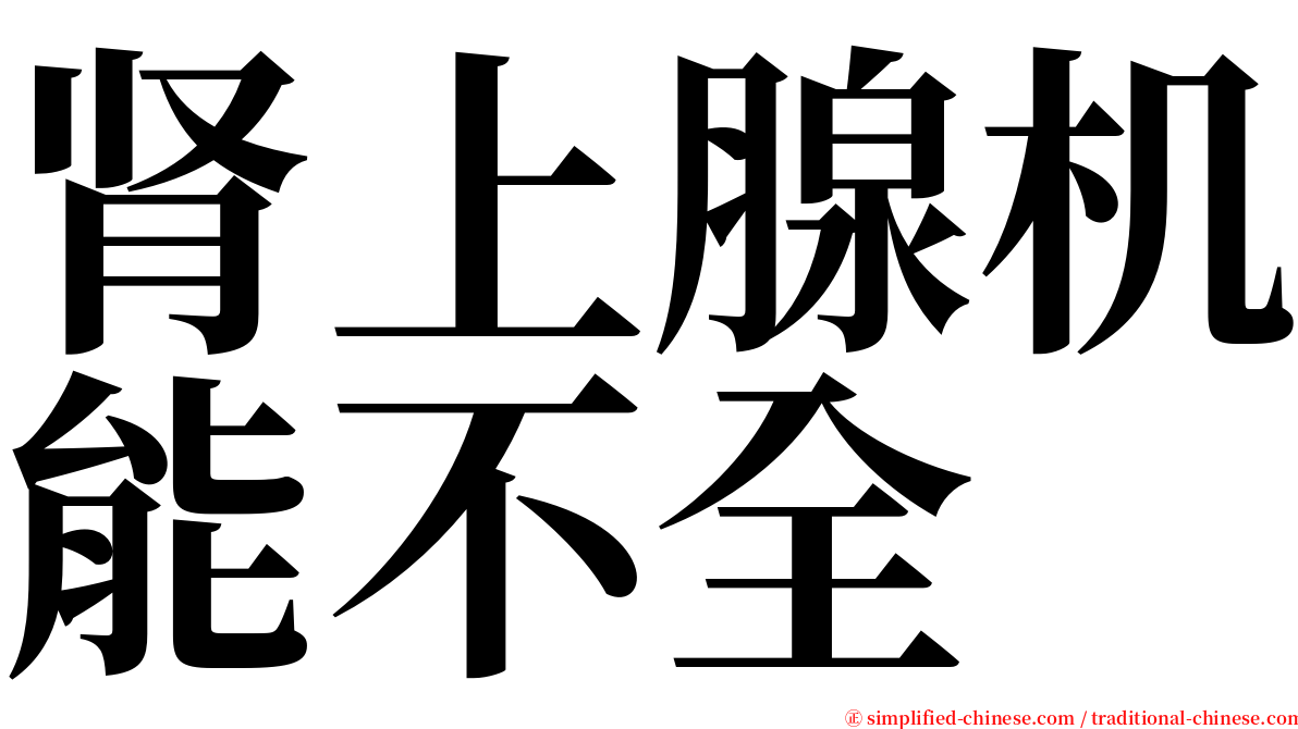 肾上腺机能不全 serif font