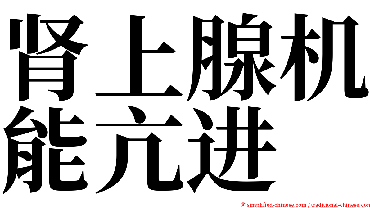 肾上腺机能亢进 serif font