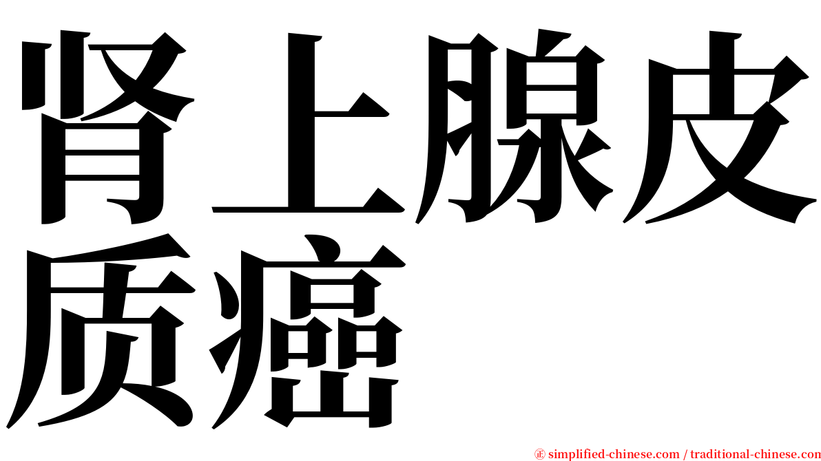 肾上腺皮质癌 serif font