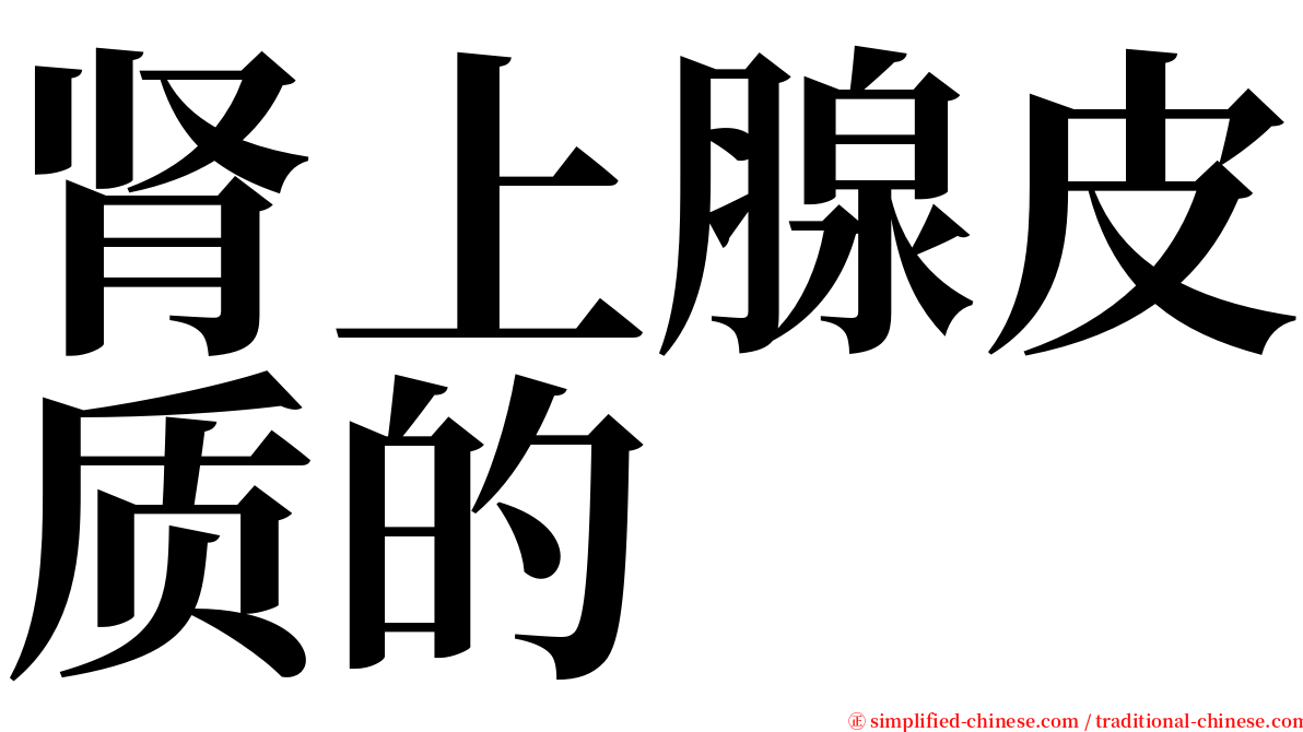 肾上腺皮质的 serif font