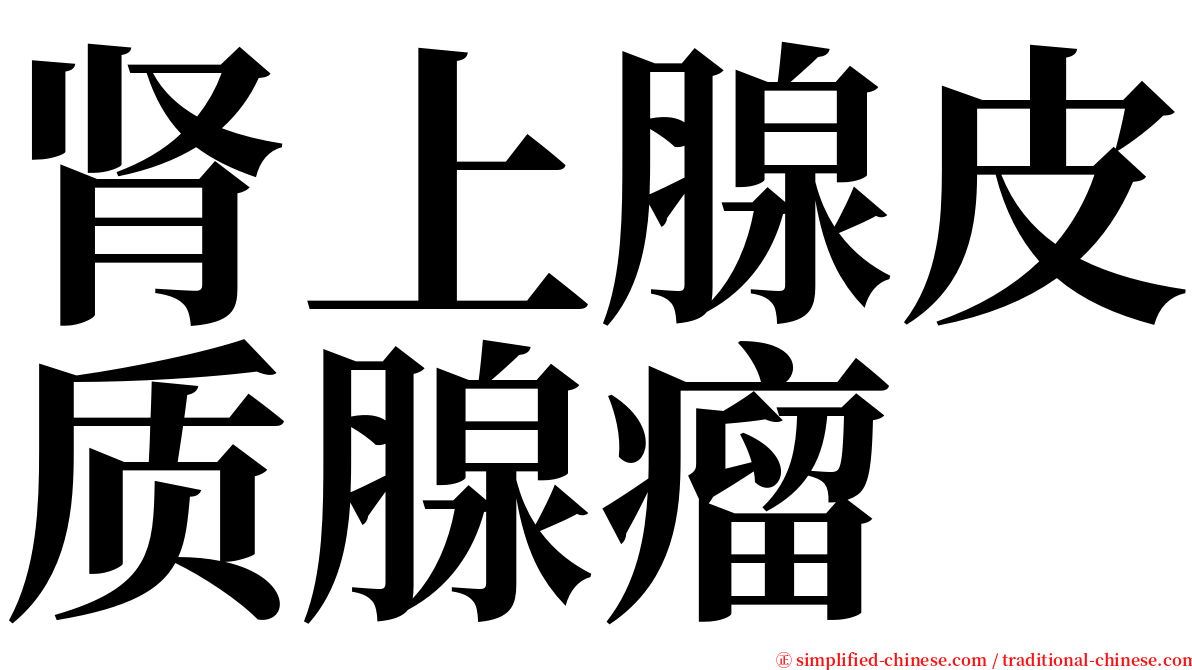 肾上腺皮质腺瘤 serif font