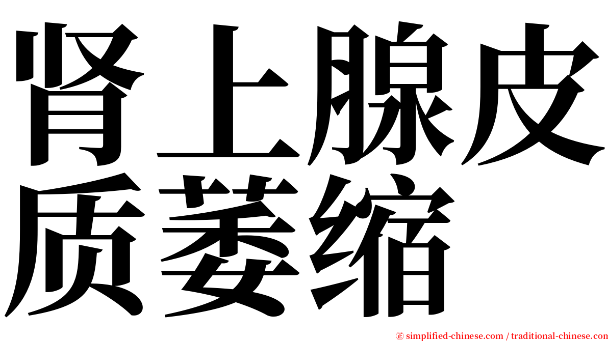 肾上腺皮质萎缩 serif font