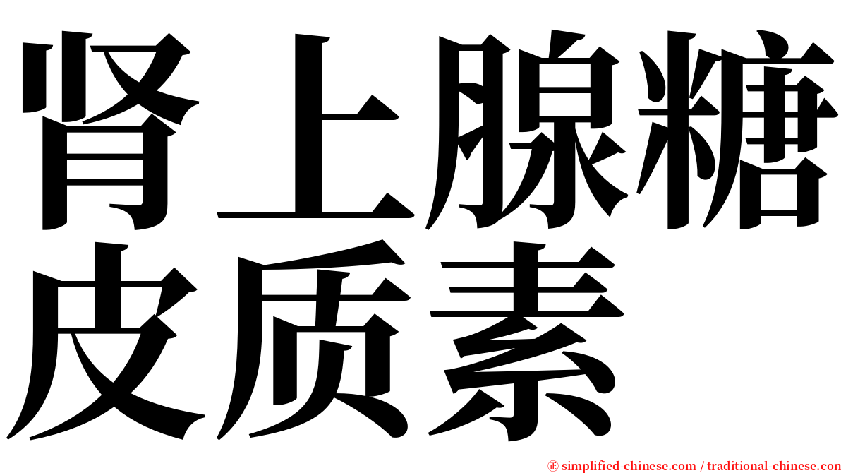 肾上腺糖皮质素 serif font