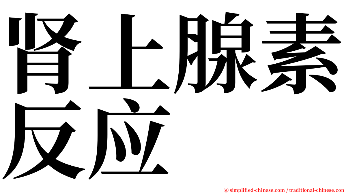 肾上腺素反应 serif font