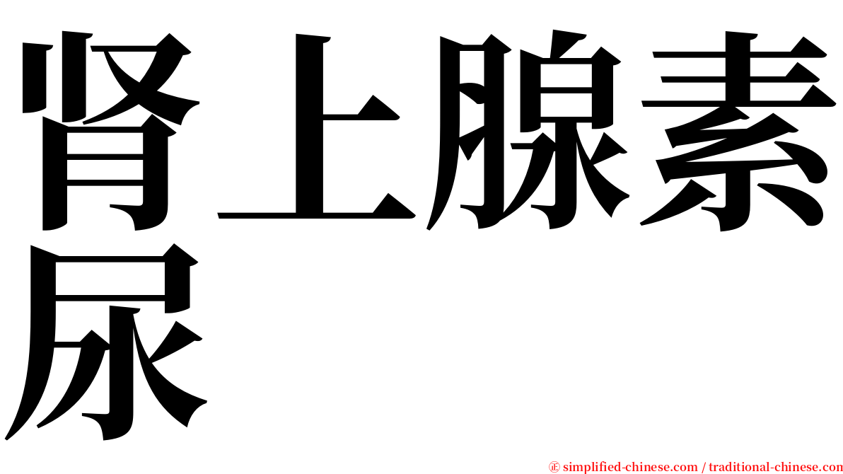 肾上腺素尿 serif font