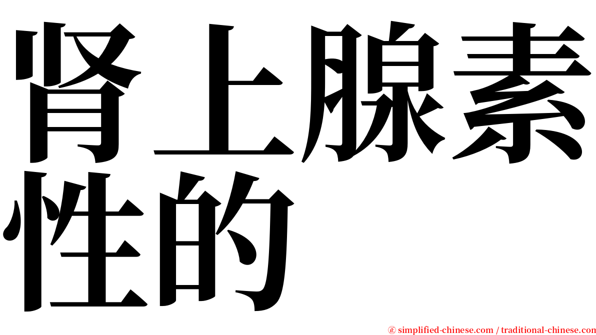 肾上腺素性的 serif font