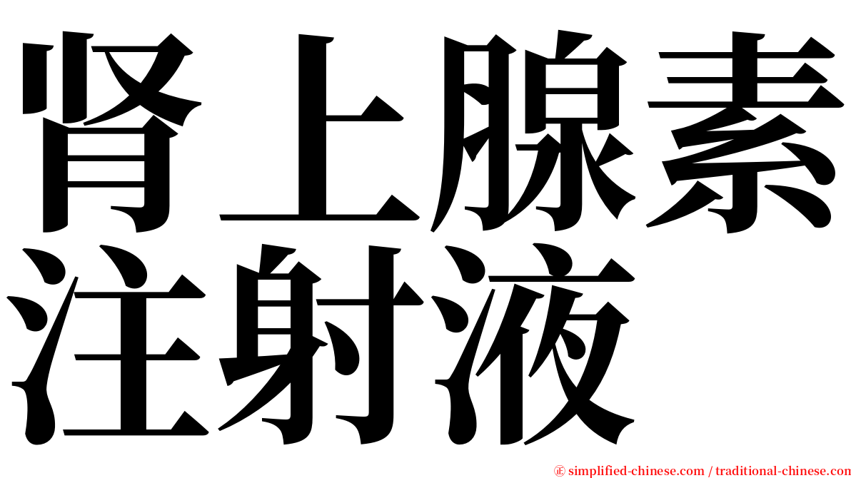 肾上腺素注射液 serif font