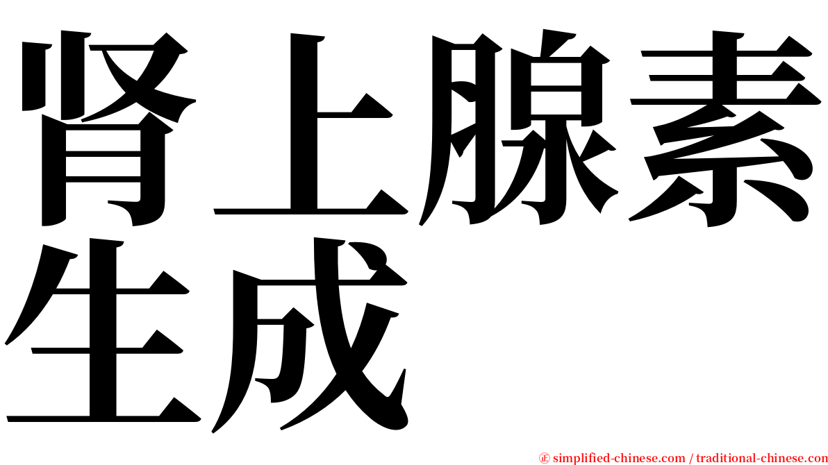 肾上腺素生成 serif font